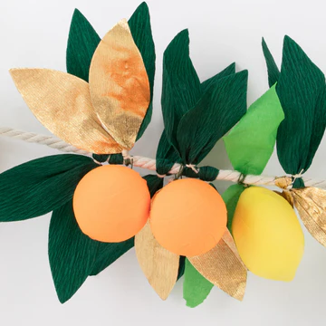 Citrus Fruit garland - 1 pk